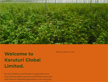 Tablet Screenshot of karuturi.com